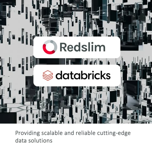 Redslim strengthens its technology backbone through partnership with Databricks