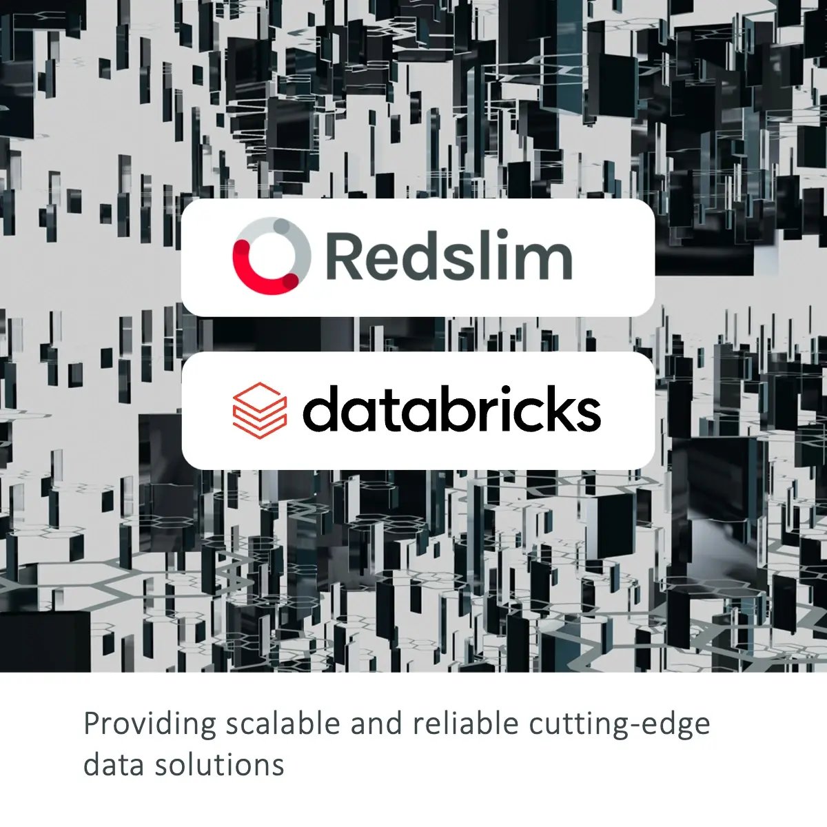 Redslim strengthens its technology backbone through partnership with Databricks